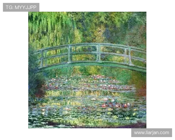 光影的万花筒：电影区，不止是观影，更是生活的调色盘