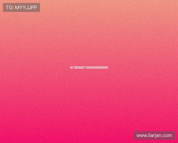 探索“小向美奈子下载”的数字世界：一次跨越时空的相遇